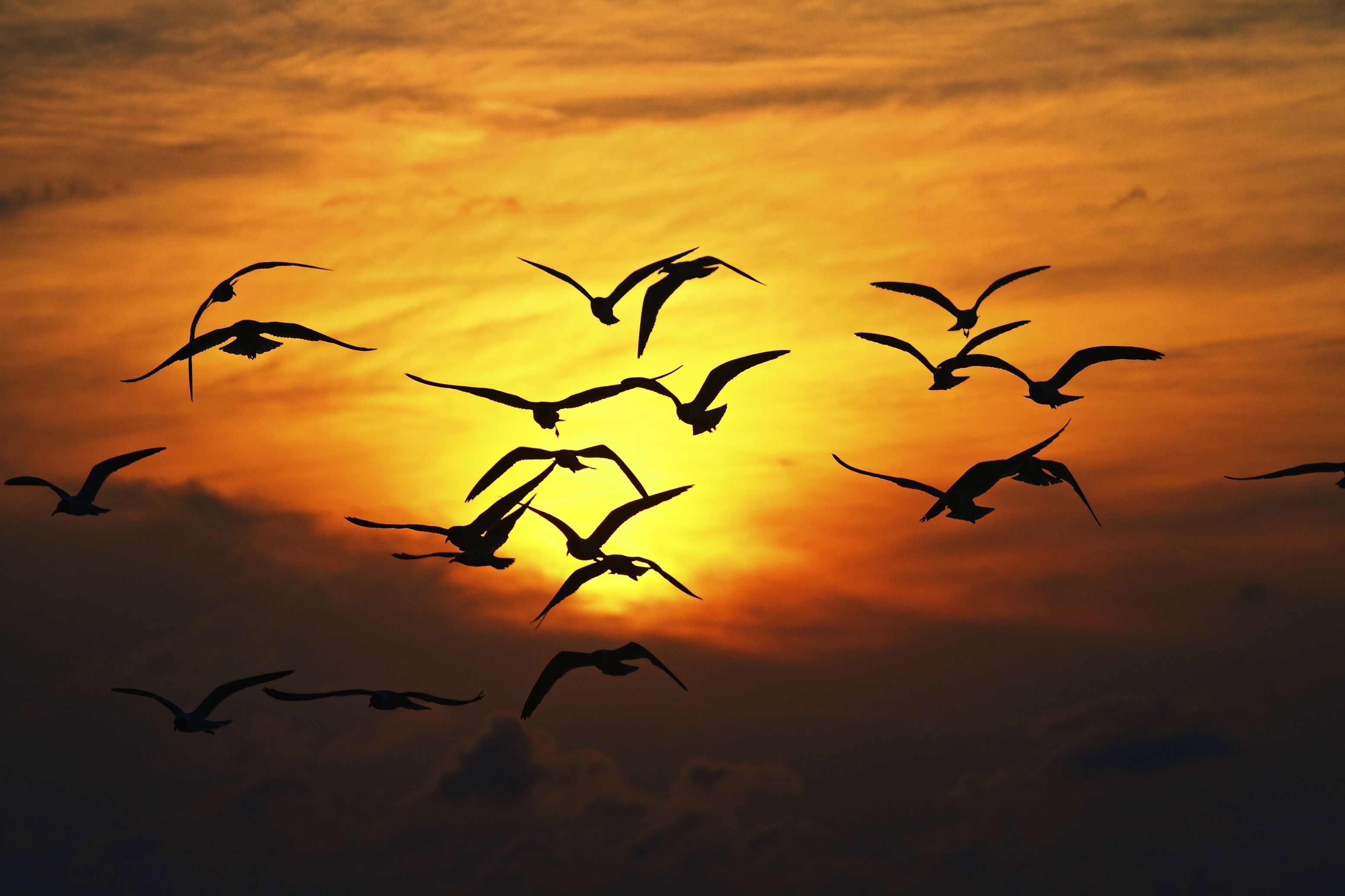 1920 x 1080 HD Wallpapers 3116